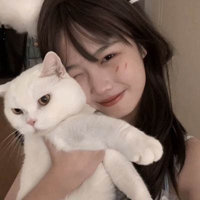 青云传仙豆版下载