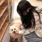 “特普会”将至 泽连斯基最新表态传递什么信号？